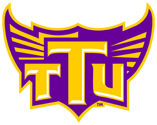 Tennessee Tech Golden Eagles 2006-Pres Alternate Logo v8 iron on transfers for clothing